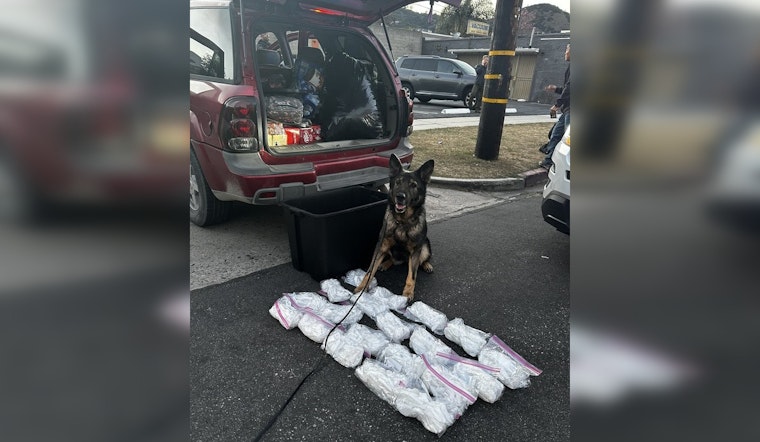 K9 Officer Keisa Sniffs Out 20 Pounds of Meth as LAPD Dismantles Multistate Drug Ring