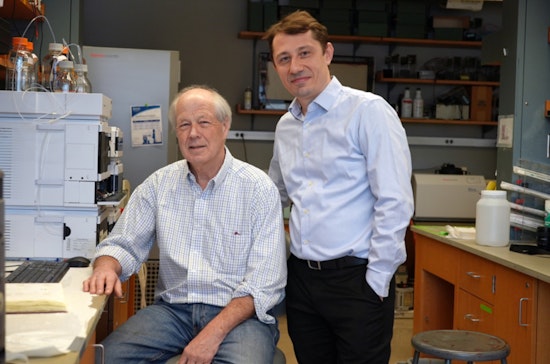 Kidney Breakthrough, MIT & Yale Discover Cancer Drug's Power against Cysts