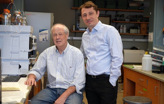 Kidney Breakthrough, MIT & Yale Discover Cancer Drug's Power against Cysts