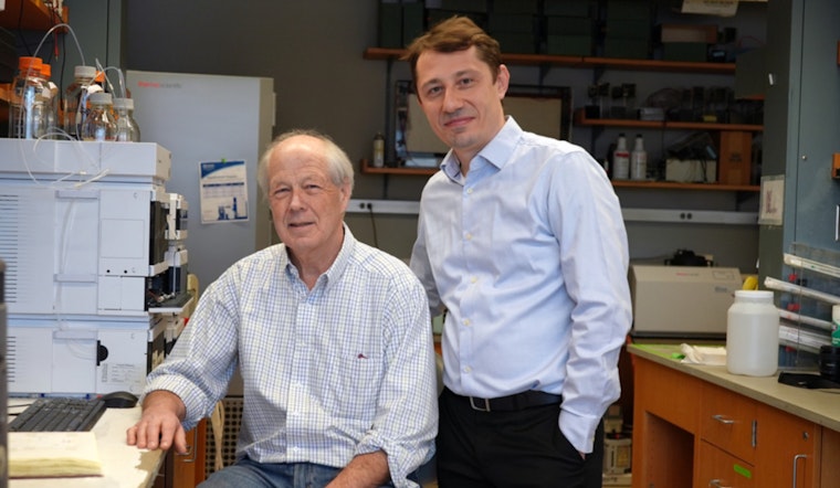 Kidney Breakthrough, MIT & Yale Discover Cancer Drug's Power against Cysts