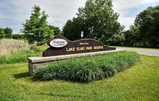 Lake Elmo Cold Case Revived Nationally as 'Dateline NBC' Shines Light on Susan Swedell's Mysterious 1988 Disappearance