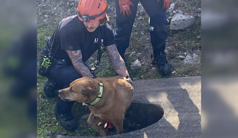 Lake Travis Fire Rescue Ingeniously Saves Senior Dog from Culvert in Heartwarming Mission