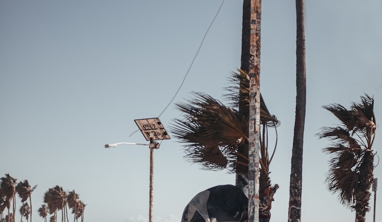 Los Angeles Braces for Gusty Weekend, Wind Advisory in Effect from 7 PM