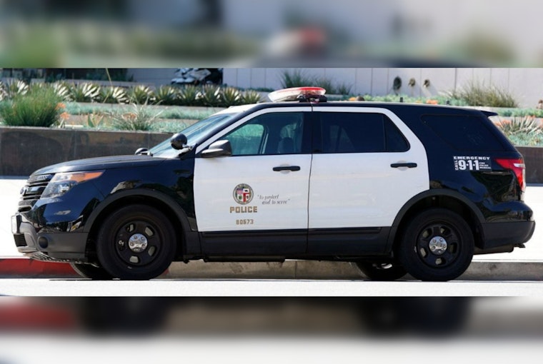 Los Angeles Fiduciary Accused of Funneling Millions from Special Needs Trusts, LAPD Seeks More Victims