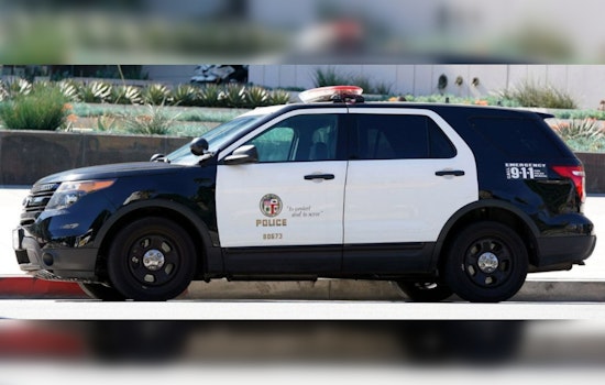 Los Angeles Fiduciary Accused of Funneling Millions from Special Needs Trusts, LAPD Seeks More Victims