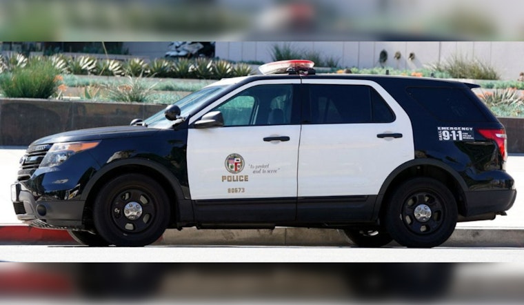 Los Angeles Fiduciary Accused of Funneling Millions from Special Needs Trusts, LAPD Seeks More Victims
