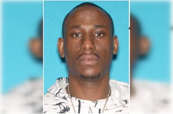 Los Angeles Police Seek Public's Help in Locating Suspect of Fatal Animal Abuse Case