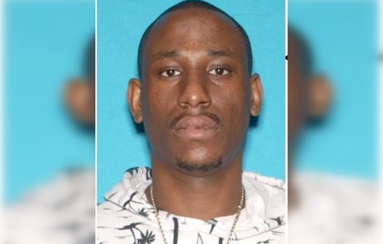 Los Angeles Police Seek Public's Help in Locating Suspect of Fatal Animal Abuse Case