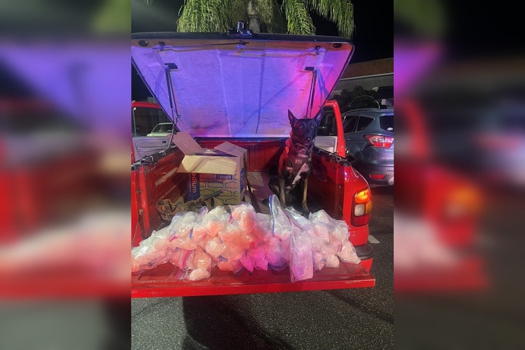 Los Angeles Police Seize 50 Pounds of Meth with Help from Heroic K9 "JD" in Collaborative Drug Crackdown