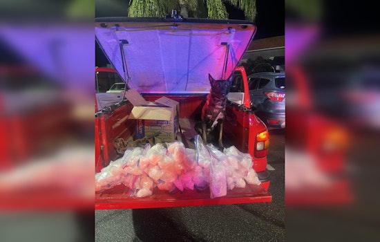 Los Angeles Police Seize 50 Pounds of Meth with Help from Heroic K9 "JD" in Collaborative Drug Crackdown