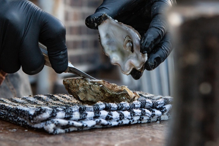 Los Angeles Public Health Officials Probe Oyster-Linked Gastrointestinal Outbreak