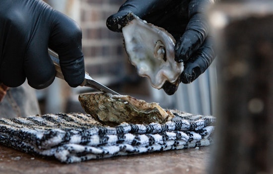 Los Angeles Public Health Officials Probe Oyster-Linked Gastrointestinal Outbreak