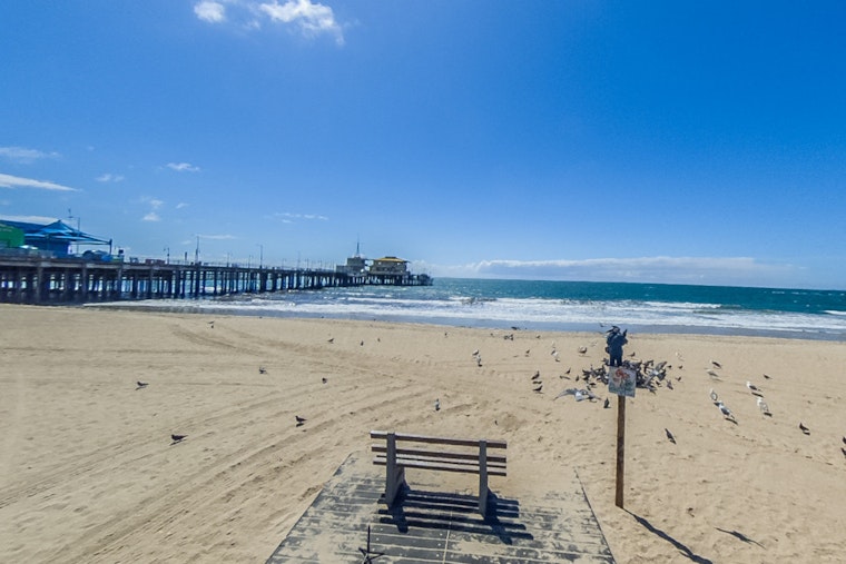 Los Angeles Public Health Officials Warn Against High Bacteria Levels at Multiple Beaches