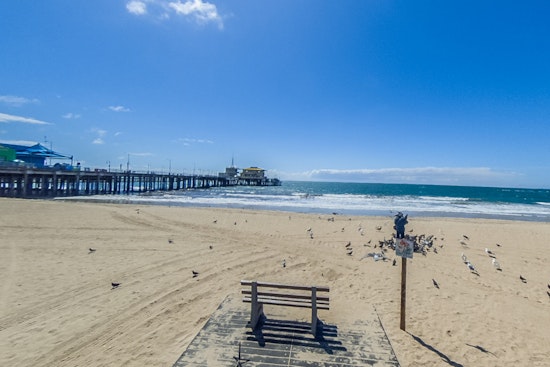 Los Angeles Public Health Officials Warn Against High Bacteria Levels at Multiple Beaches