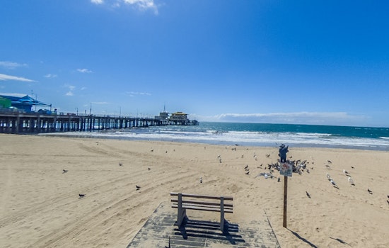 Los Angeles Public Health Officials Warn Against High Bacteria Levels at Multiple Beaches