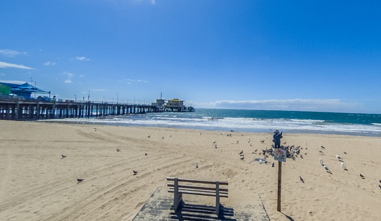 Los Angeles Public Health Officials Warn Against High Bacteria Levels at Multiple Beaches