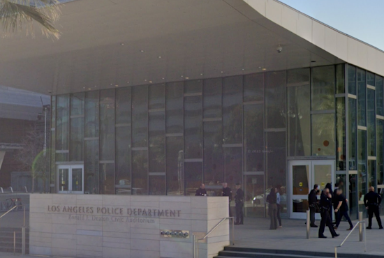 Los Angeles Unites Against Domestic Gun Violence, LAPD, Courts, and Sheriff's Department Team Up with Tech Grant