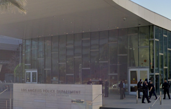 Los Angeles Unites Against Domestic Gun Violence, LAPD, Courts, and Sheriff's Department Team Up with Tech Grant
