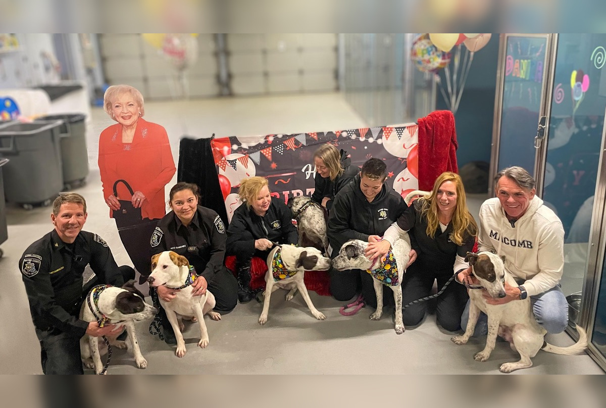 Macomb County Sibling Pups Celebrate First Birthday Amid Rescue's