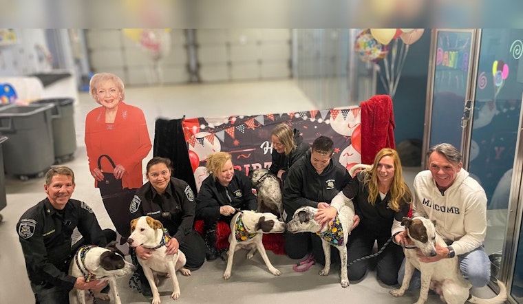 Macomb County Sibling Pups Celebrate First Birthday Amid Rescue's Legal Dispute and Custody Battle
