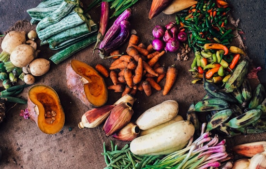Malibu Hosts Online Workshop to Educate Residents on Organic Waste Recycling