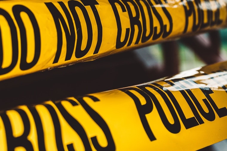 Man Fatally Crushed by Falling Palm Tree During Windstorm in Phoenix Park