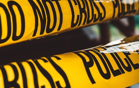 Man Fatally Crushed by Falling Palm Tree During Windstorm in Phoenix Park