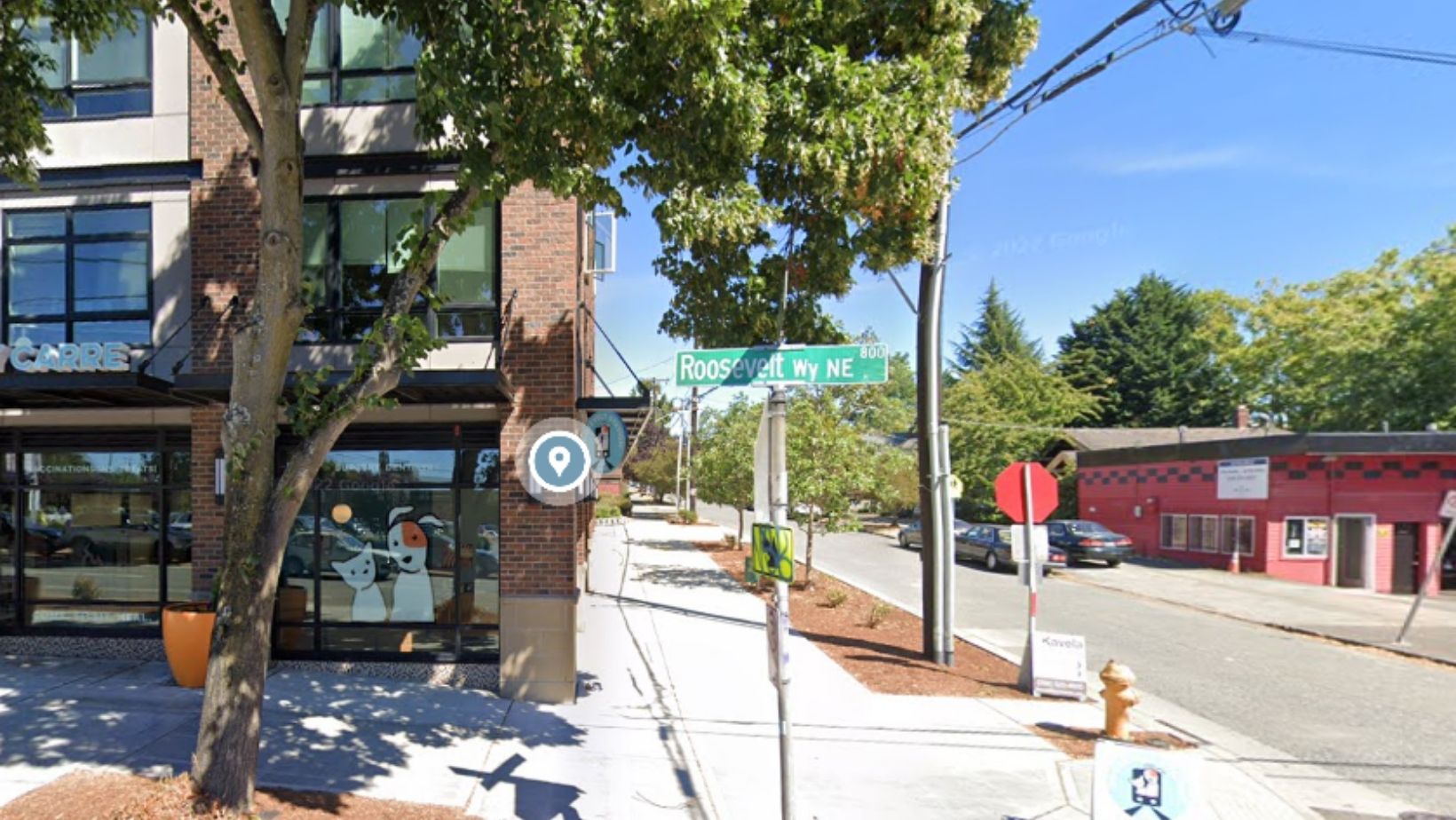 Man in Stable Condition Following Shooting in Seattle's Roosevelt