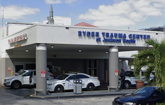Man in Wheelchair Mauled by Dogs in Florida City, Animal Control Seizes Canines