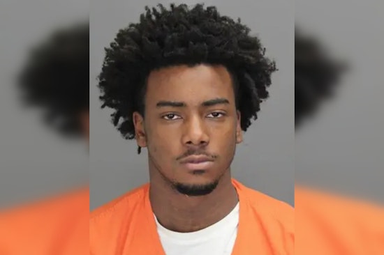 Man Pleads No Contest to Assault and Involuntary Manslaughter Charges in Royal Oak Township Shooting Case