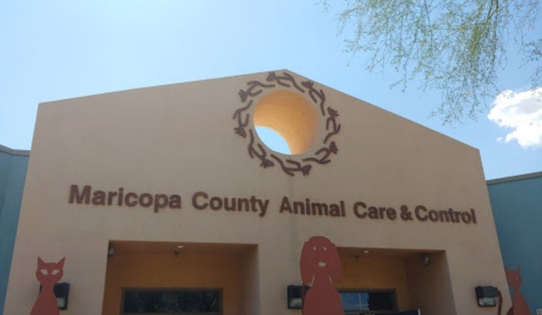Maricopa County Animal Shelter Faces Overcrowding Crisis, Adopts "Empty the Shelters" Program