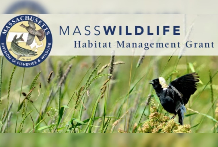 Massachusetts Awards $365K in Grants for Wildlife Habitat and Climate Resilience Efforts