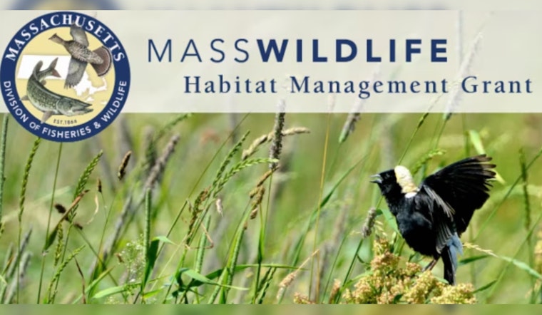 Massachusetts Awards $365K in Grants for Wildlife Habitat and Climate Resilience Efforts