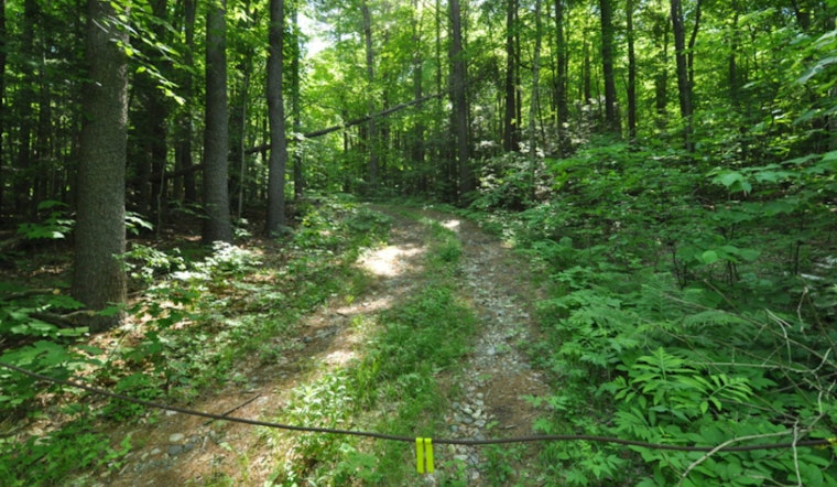 Massachusetts Invests $50 Million in Forest Conservation to Combat Climate Change