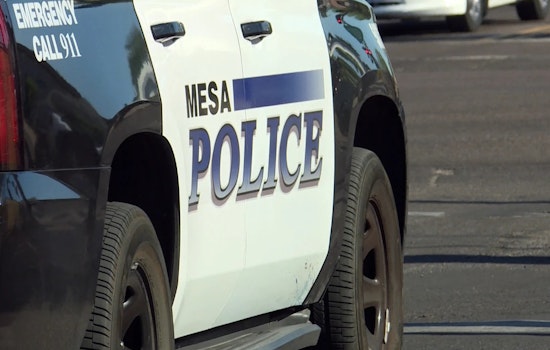 Mesa Police Arrest 17-Year-Old in Connection with Series of Violent Teen Attacks in East Valley