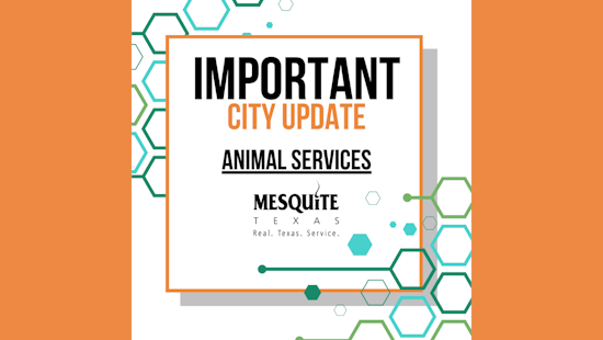 Mesquite Animal Shelter Temporarily Closed Due to Water Main Break, Awaiting Repairs