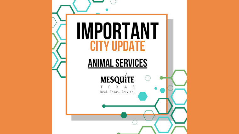 Mesquite Animal Shelter Temporarily Closed Due to Water Main Break, Awaiting Repairs