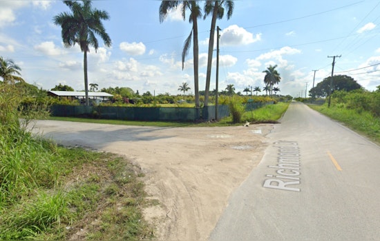 Miami-Dade Community Shaken as Two Stolen Horses Found Slaughtered; Police Seek Information