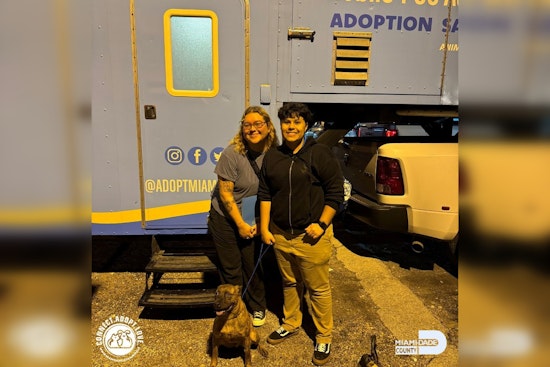 Miami-Dade County Animal Services Drives Canine Adoption Initiative to Alleviate Shelter Overcrowding