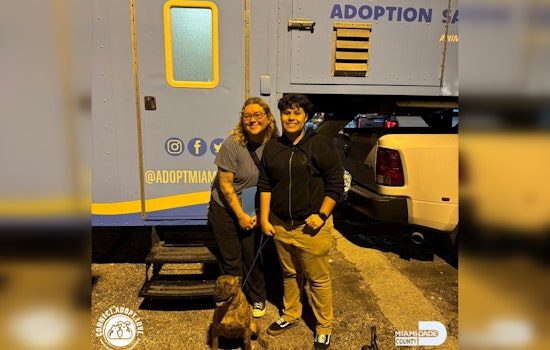 Miami-Dade County Animal Services Drives Canine Adoption Initiative to Alleviate Shelter Overcrowding