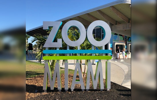 Miami-Dade County Cancels Lease for Controversial Miami Wilds Water Park Project