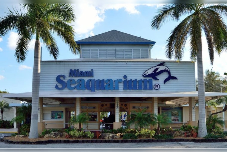 Miami-Dade County Moves to End Lease with Miami Seaquarium, Over Animal Welfare Violations