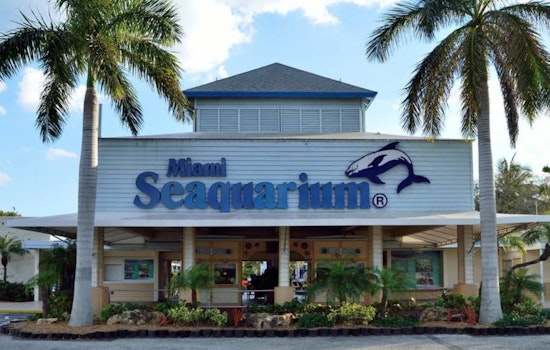 Miami-Dade County Moves to End Lease with Miami Seaquarium, Over Animal Welfare Violations
