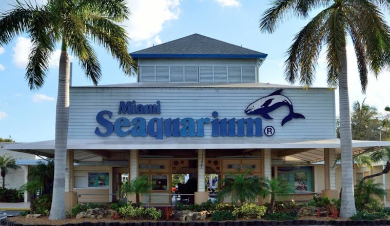 Miami-Dade County Moves to End Lease with Miami Seaquarium, Over Animal Welfare Violations