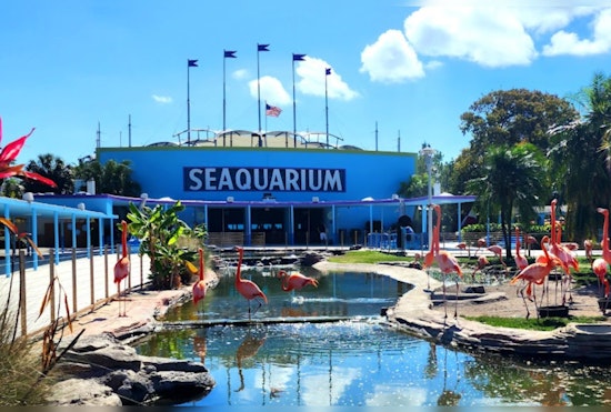 Miami Seaquarium Clashes with Mayor Over Lease Amid Animal Welfare Violations