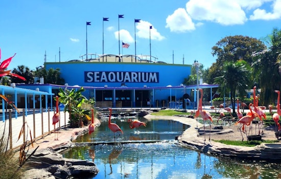 Miami Seaquarium Clashes with Mayor Over Lease Amid Animal Welfare Violations