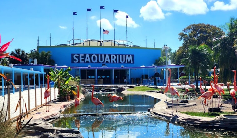 Miami Seaquarium Clashes with Mayor Over Lease Amid Animal Welfare Violations