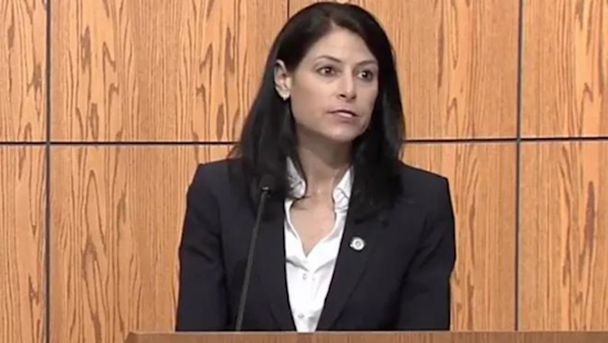Michigan AG Dana Nessel Seeks Dismissal of Lawsuit Against Abortion Rights Amendment