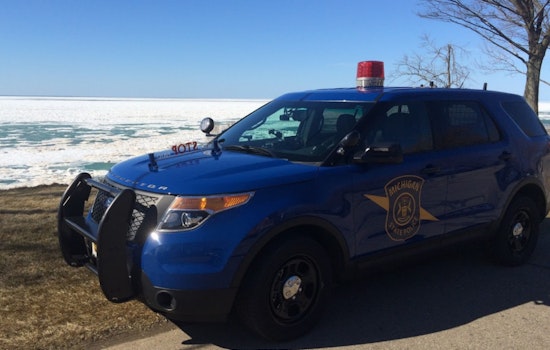 Michigan State Police Fatally Shoot Fugitive in Tree Stand Following Domestic Assault Manhunt