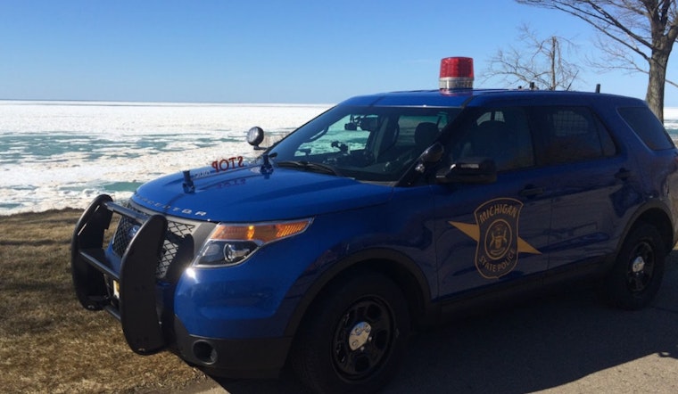 Michigan State Police Fatally Shoot Fugitive in Tree Stand Following Domestic Assault Manhunt